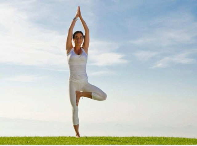 [daYoga] Интенсивный курс по йогатерапии опорно-двигательного аппарата (Юлия Синявская)