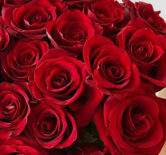 [OnlineWomenClub] Значимость 3.1.+ Подарки (Анжела Николенко) @asya.secret