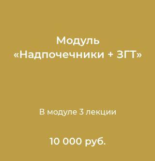 Модуль Надпочечники + заместительная гормональная терапия (Лилия Воронкова)