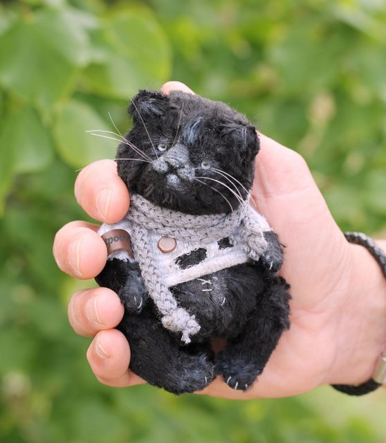 Котик Бегемотик (Анна Степанова), фото 1 из 1.