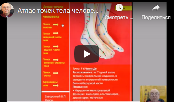 Атлас точек тела человека (Владимир Завортный)