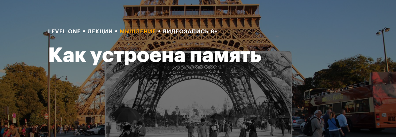 [Level One] Как устроена память (Елена Белова)