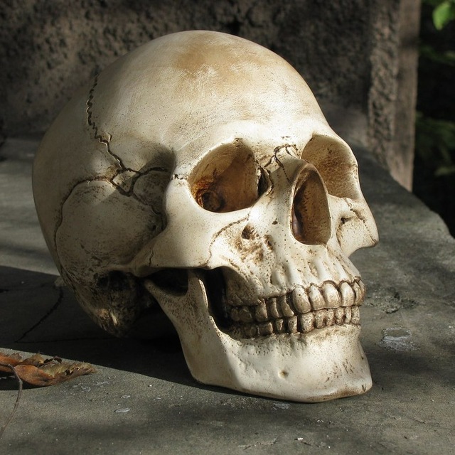 Фабула Страх смерти (Дмитрий Исаев, Александр Драгнев)