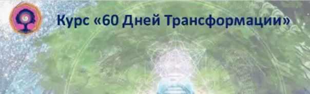 60 дней трансформации 2017 (Дмитрий Воронов)