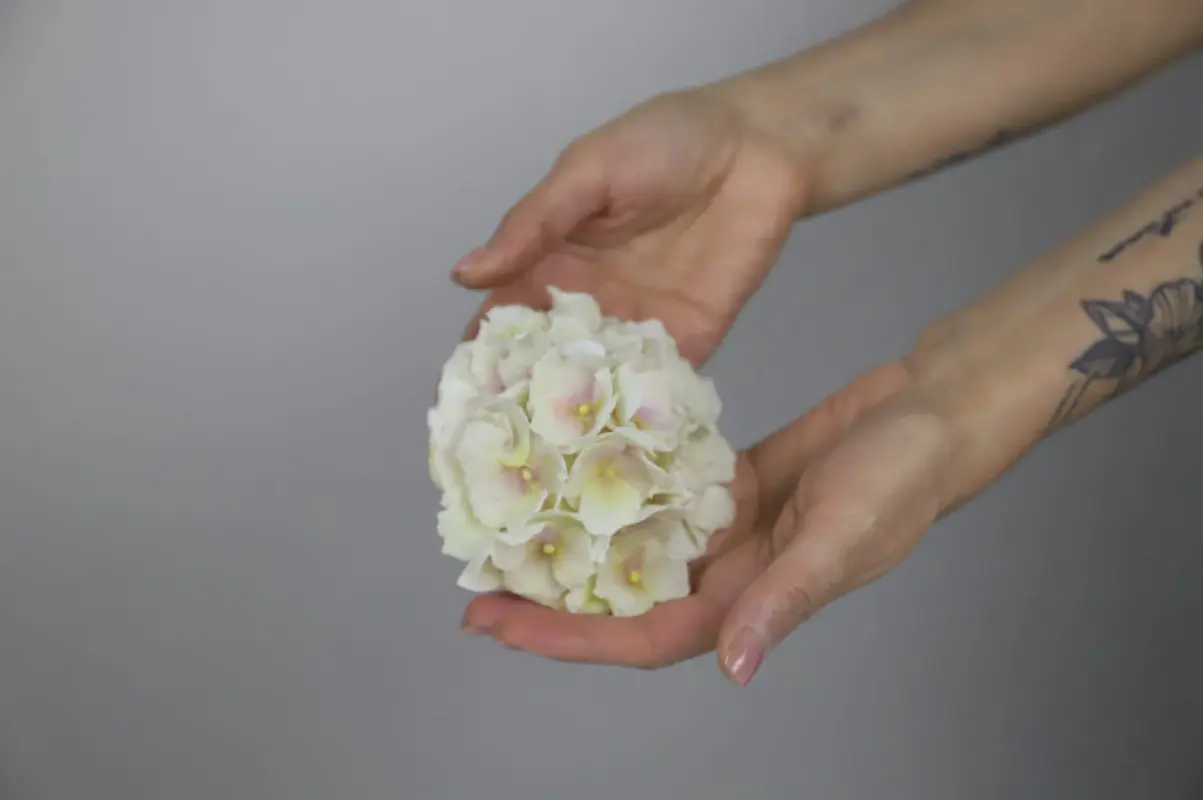 Гортензия из пластичного шоколада  (Даяна Лус)