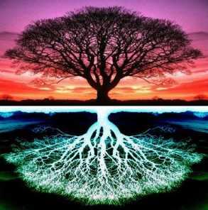 Тотальная отчистка 2014 (Алекс Томан)