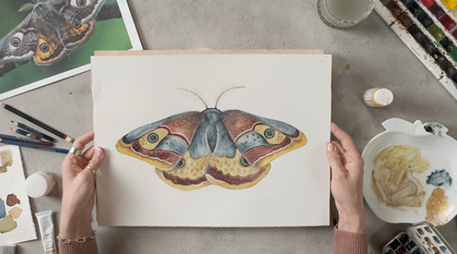 [Арткласс] Бабочка павлиноглазка (Анна Недельчук)