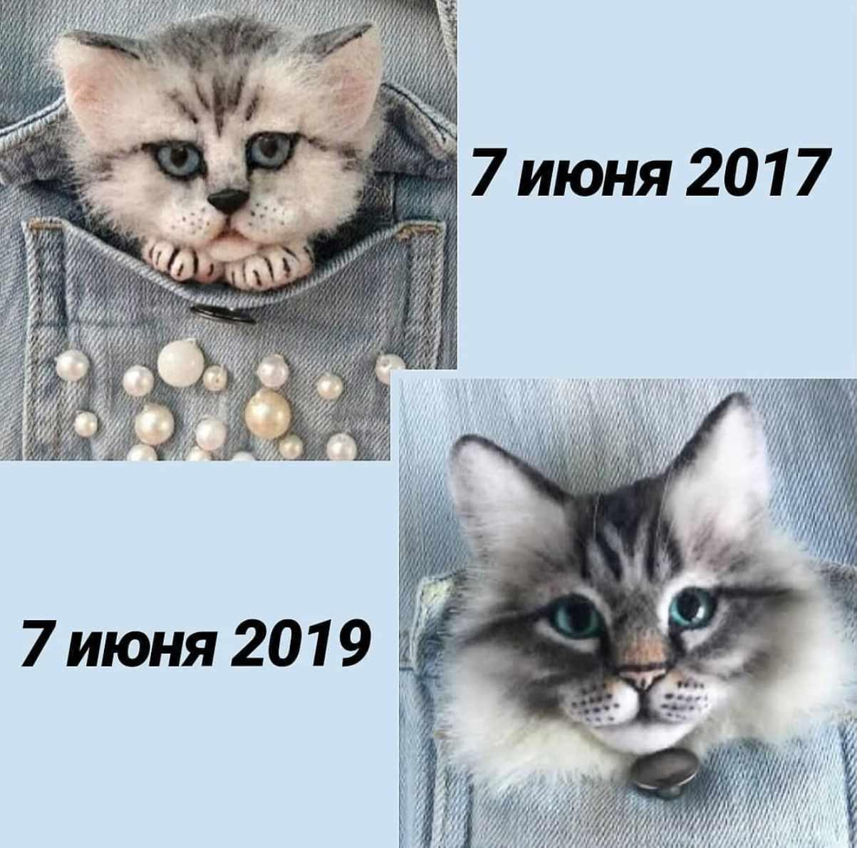 Коты (Марина Грубер)