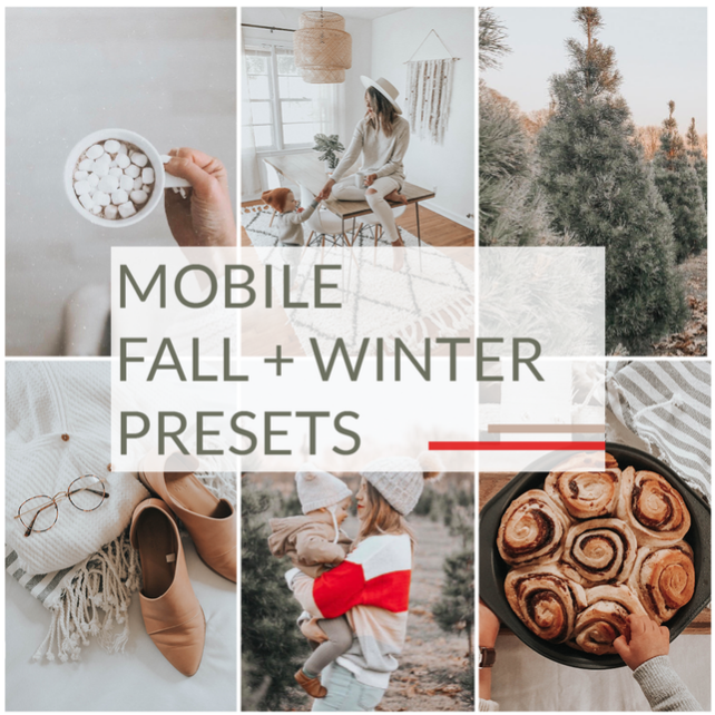 Mobile fall + winter presets: Fall + Winte, DNG (Bethany Poteet), фото 1 из 1.