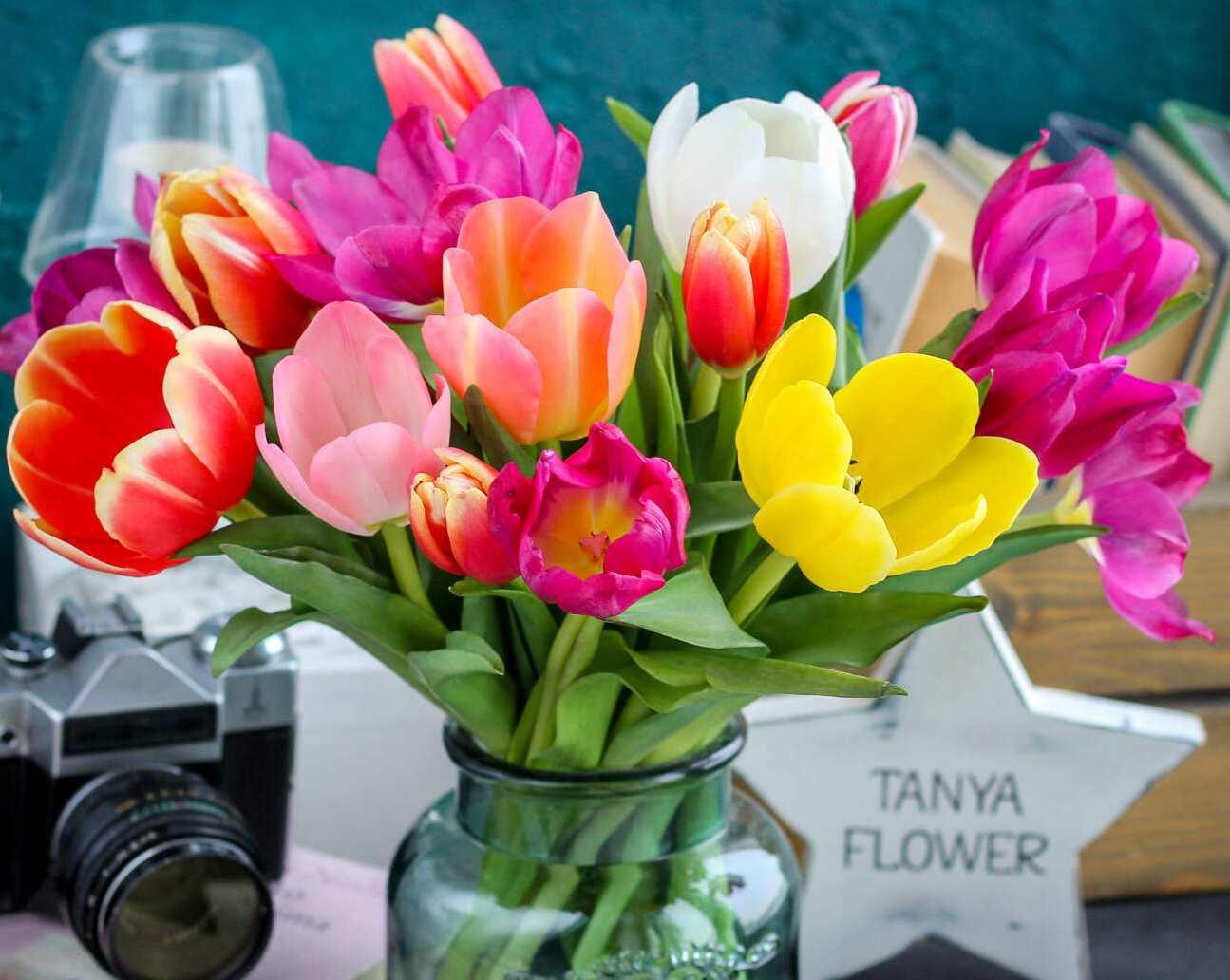 Тюльпаны (Татьяна Кононова)