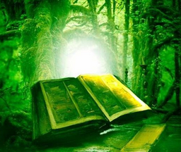 Вебинар Магия Растений (Дарина)