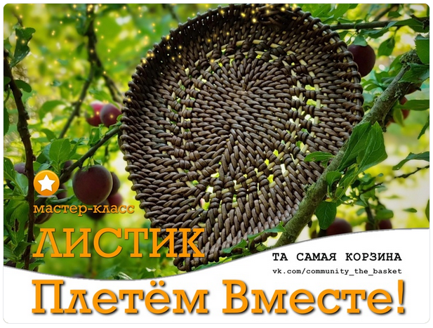 Подписка на группу Та самая корзина. Февраль 2024 (Анна Татюк)