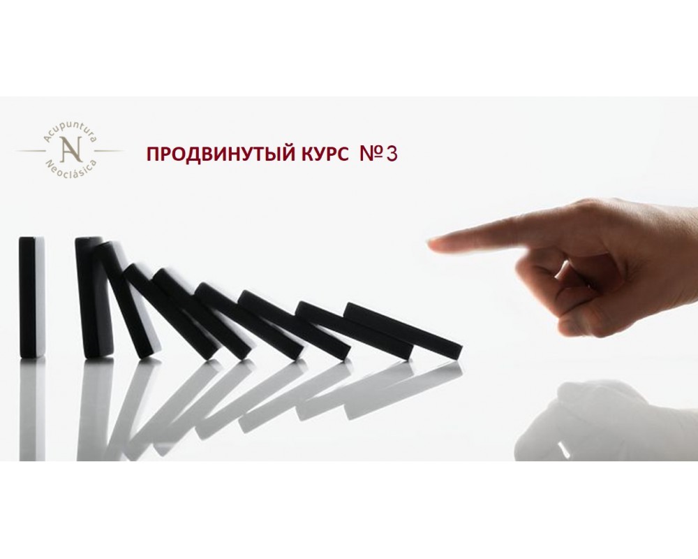 Неоклассическая акупунктура. Продвинутый курс №3 (Слейт Буррис)