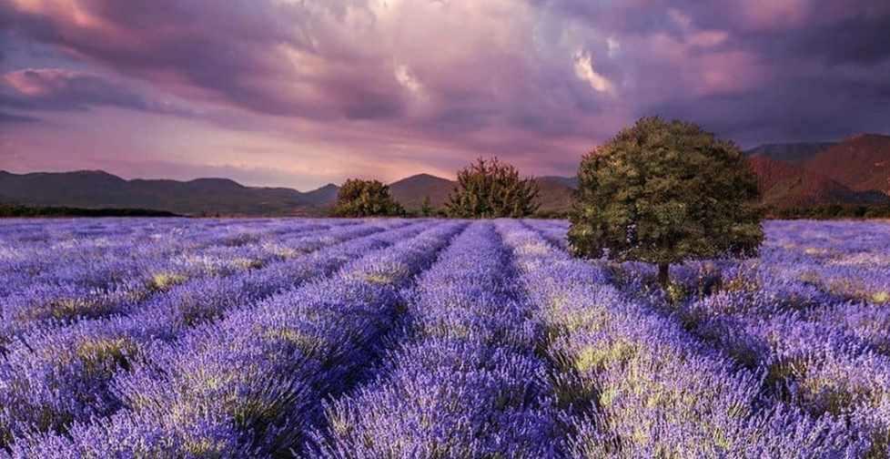 Джйотиш. Карты-чакр. Занятие 2. Гуру, Будха и Бхума - Марс. Чакры (Шри Ганеша)