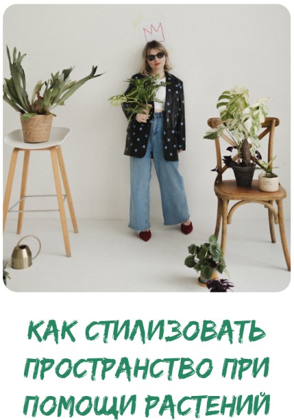 [plants.coach] Как стилизовать пространство при помощи растений. Тариф Самостоятельный (Яна Строинская)