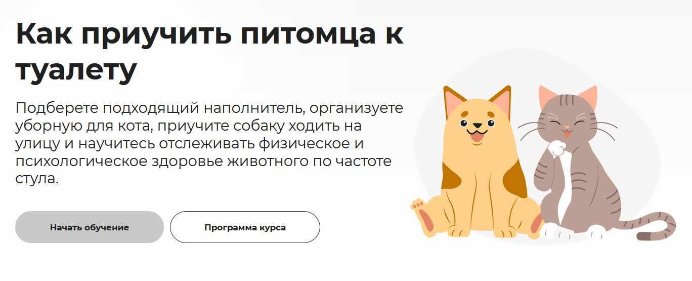 [Правое полушарие интроверта] Как приучить питомца к туалету (Вероника Латыпова)