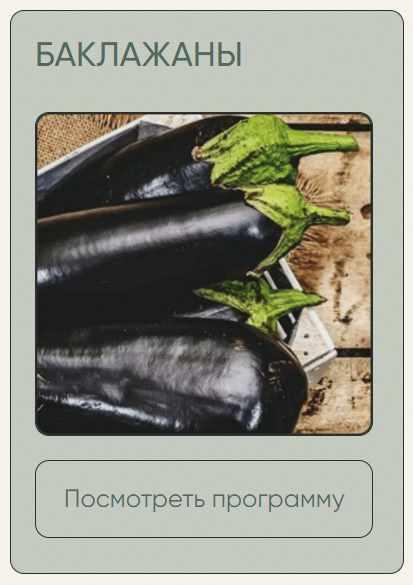 [Школа нетипичного фермера] Баклажаны (Анна Акинина)