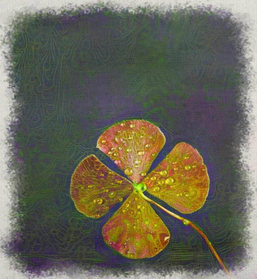 Счастливая подкова и клевер [Sapien Medicine]