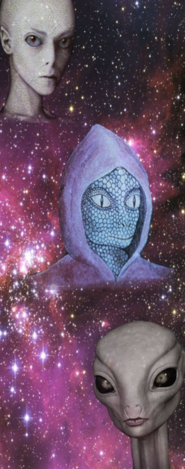 Инопланетное население Земли (Виктория Рейли)