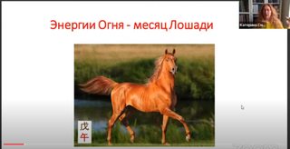 Жизнь и здоровье в месяце Лошади 2023 (Катарина Смолинска)