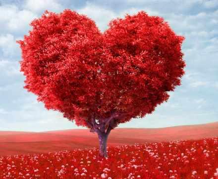 Удача в браке в женских картах рождения (Владимир Захаров)