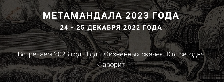[МетаПортрет] МетаМандала 2023 года (Ирина Бердина)