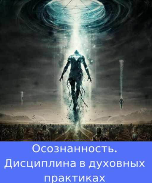 Осознанность. Дисциплина в духовных практиках (Роман Доля)