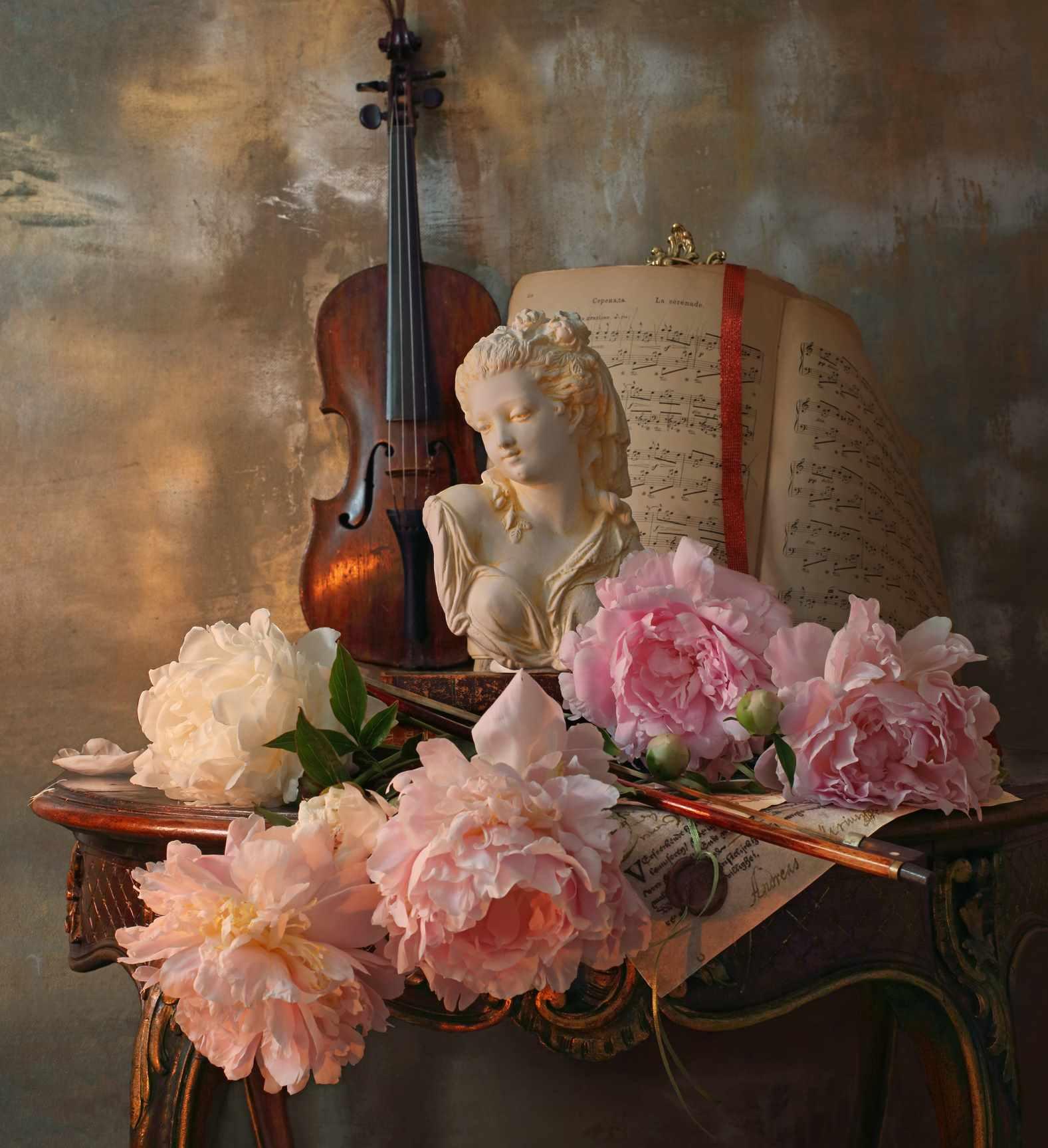 Пионы и скрипка (Ольга Базанова)