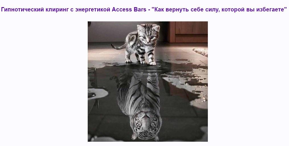 [Access] Гипнотический клиринг с энергетикой Access Bars - "Как вернуть себе силу, которой вы избегаете"