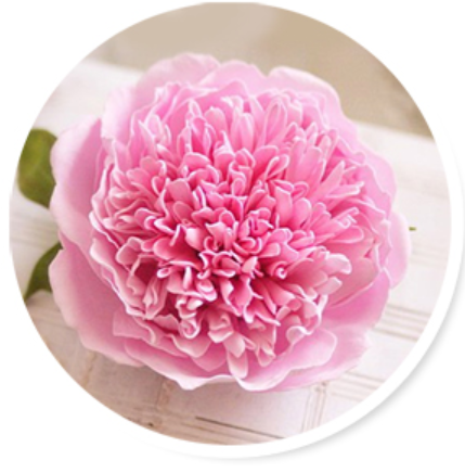 Пион (Алена Семенова)