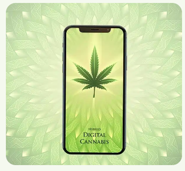 Цифровой каннабис (Эрик Томпсон)