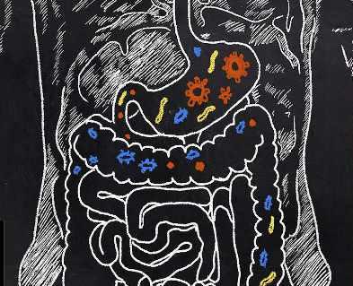 [Первая школа биохакинга] Гайд Помощь при запорах (Ирина Баранова, Татьяна Смольянинова), фото 1 из 1.