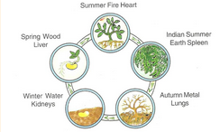 [Высшая школа класической астрологии] Волшебные звуки (Евгений Волоконцев)