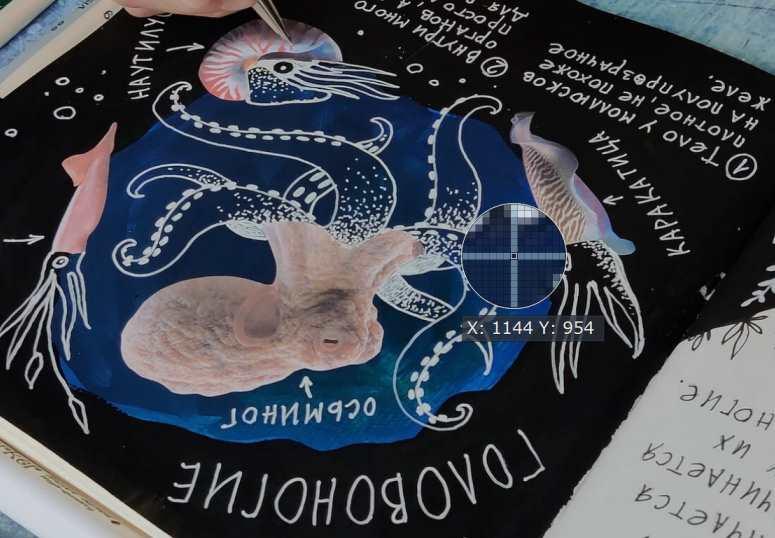 [HurlyBurlySchool] 2 блок годового курса "Окружающий мир" (Оля Сафонова, Даша Сафонова)