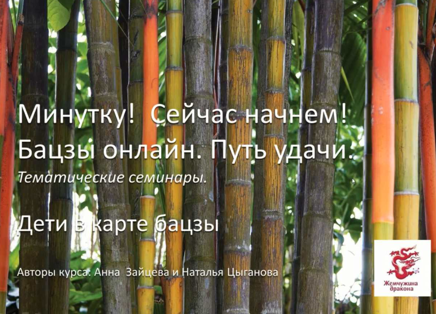 Дети в карте бацзы (Анна Зайцева, Наталья Цыганова)