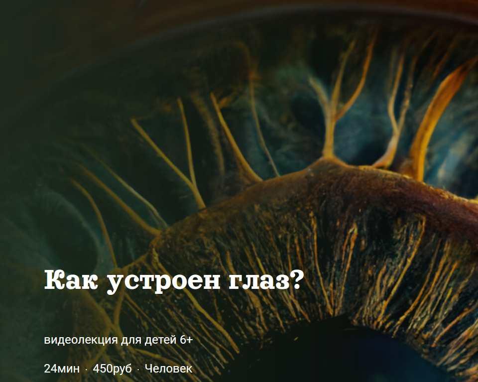 [Детский лекторий] Как устроен глаз? (Александр Толмачев)