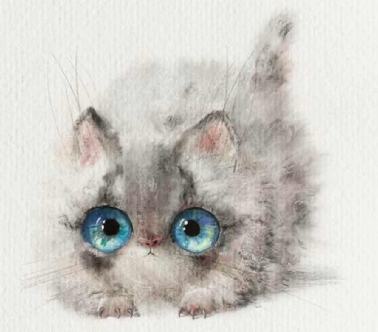 Мастер класс по рисованию "Котёнок" (eve_farb)