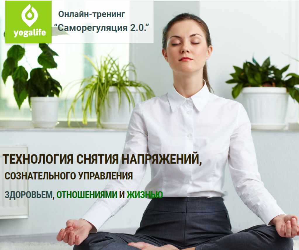 Саморегуляция 2.0 (Вячеслав Смирнов, Елена Смирнова)