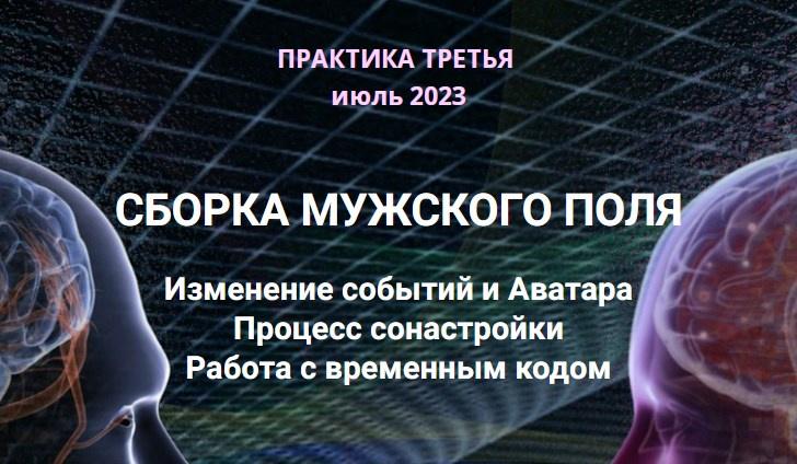 Сборка мужского поля. Изменение событий и Аватара (Эмилия Франк)
