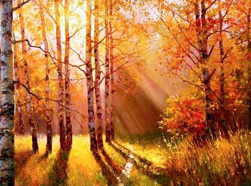 Свет в лесу (Татьяна Букреева)