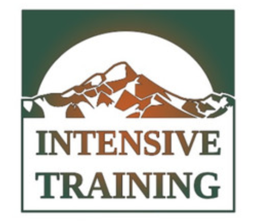 Интенсив по Эриксоновскому гипнозу и терапии, уровень D (8 занятий) (Фонд Милтона Эриксона)