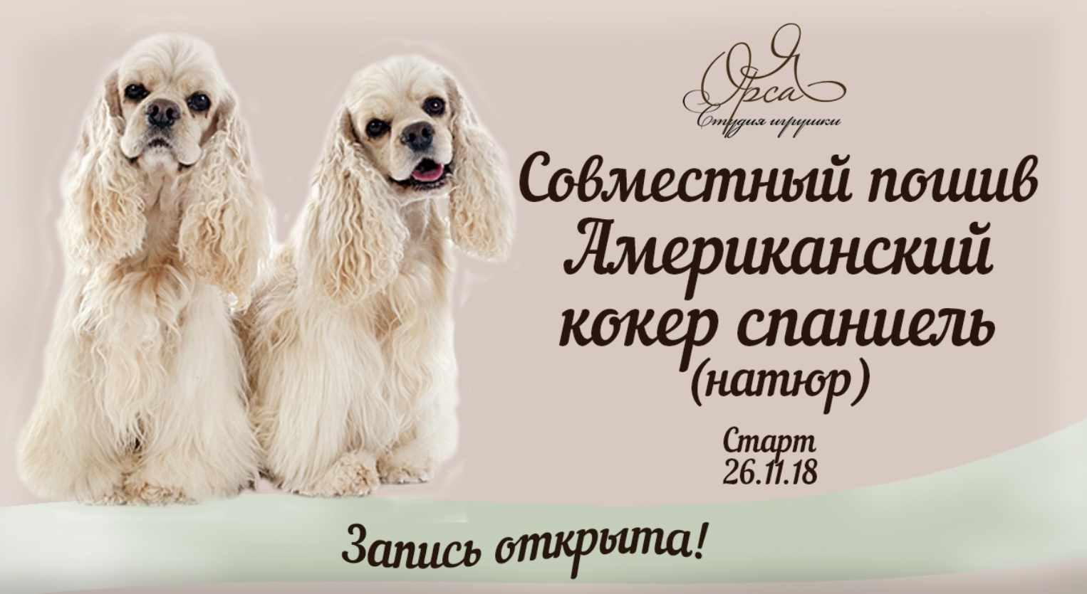 Совместный пошив "Американский кокер спаниель" (Янина Орса)