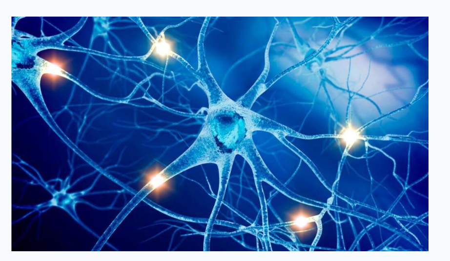 [Академия медицинской кинезиологии и мануальной терапии Васильевой] Кранио-сакральная система (Вячеслав Пичугин, Тимур Гололобов)