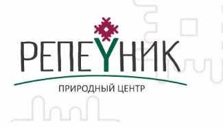 [Репейник] Мелколуковичные + Зачем укроп в цветник и как сочетать несочетаемое (Ирина Пыжикова)