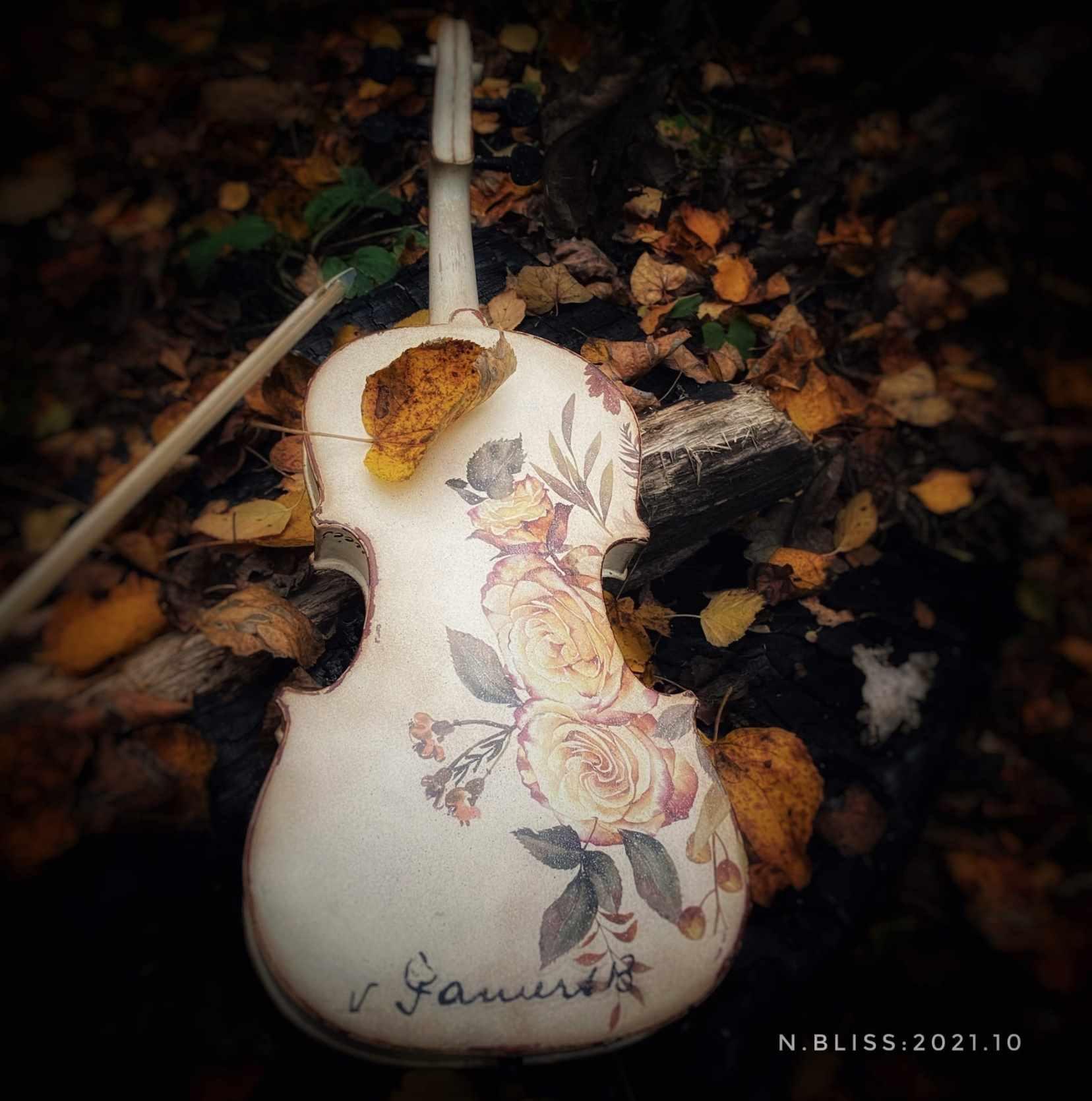 Скрипка (Наталья Блисс)