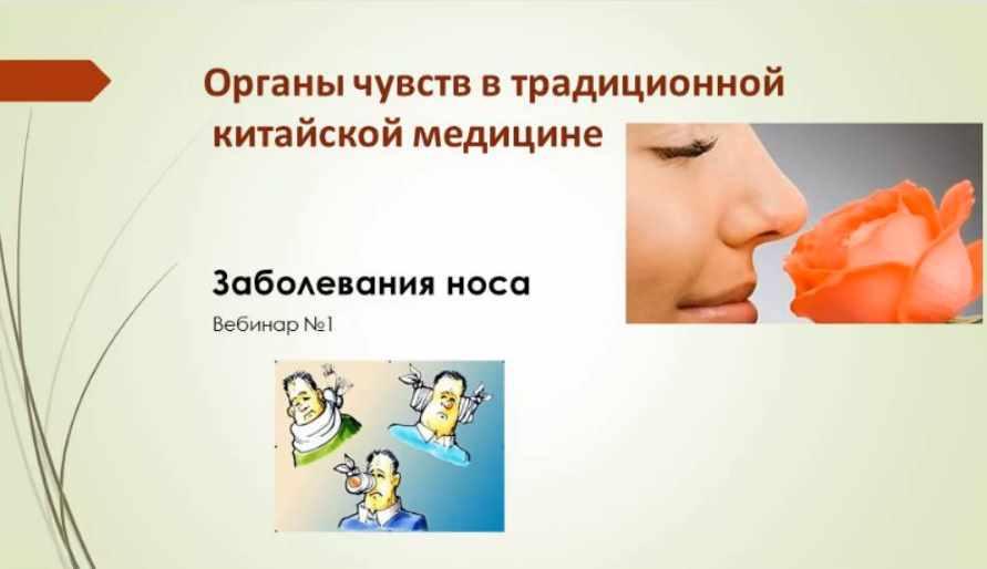 Органы чувств в традиционной китайской медицине. Заболевание носа (Лада Боровикова)