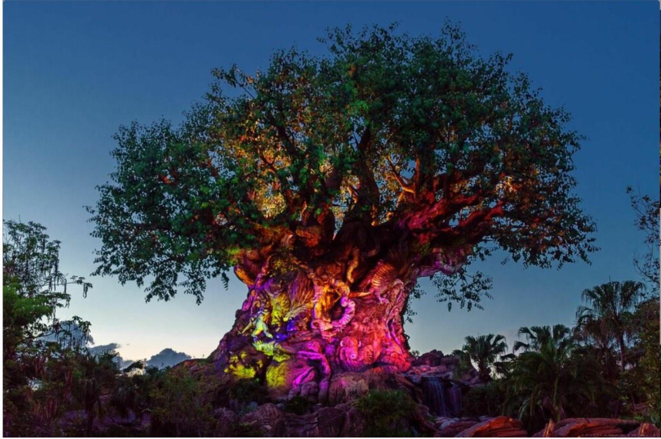 [Sigh Energy] Обновление Древа жизни Powerful Plus + 11x (Extra Strong). Tree of life renovation Powerful Plus +11x(Extra Strong)