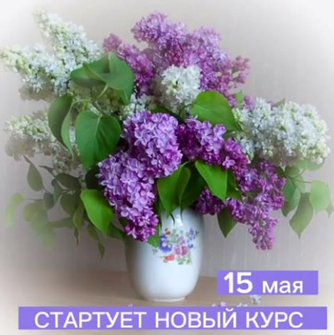 Сирень (Виталий Антипин)