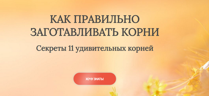 Как правильно заготавливать корни. Секреты 11 удивительных корней (Ольга Данилюк)