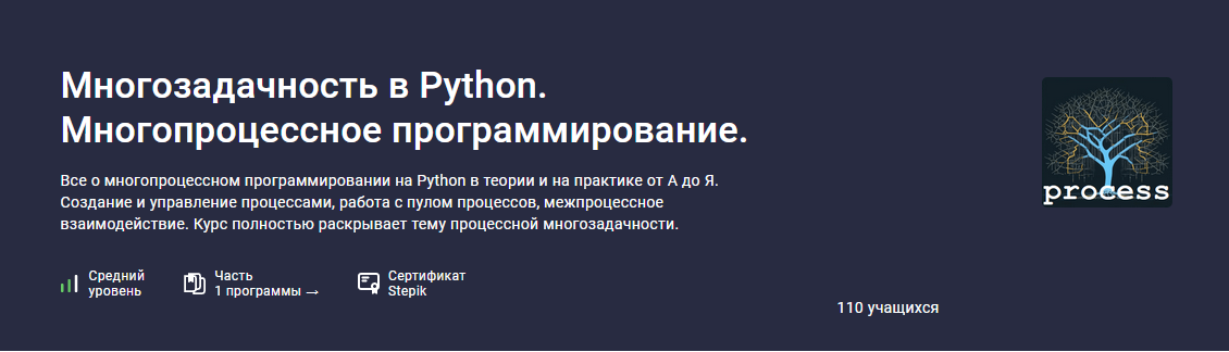 [Stepik] Многозадачность в Python. Многопроцессное программирование (Александр Шибаев)